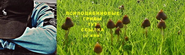 мдпв Горняк