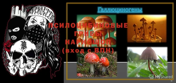 мдпв Горняк