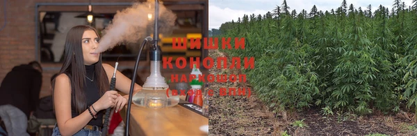 тгк Горнозаводск