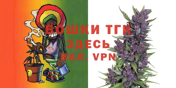 мдпв Горняк