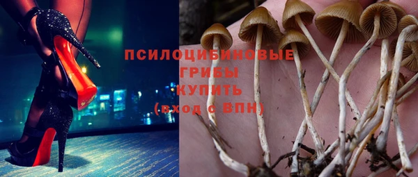 мдпв Горняк