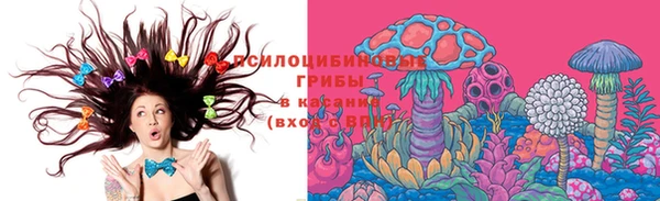 тгк Горнозаводск