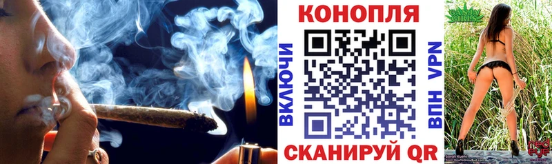наркотики  Павловск  Канабис тримм 